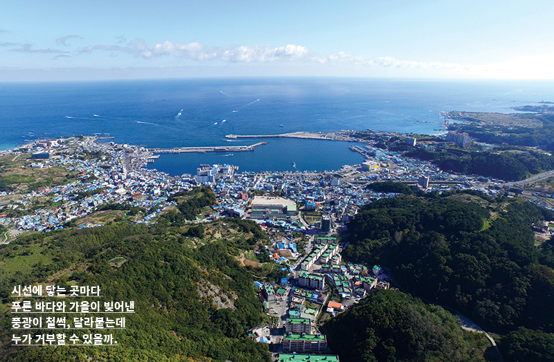 시선에 닿는 곳마다 푸른 바다와 가을이 빚어낸 풍광이 철썩, 달라붙는데 누가 거부할 수 있을까.
