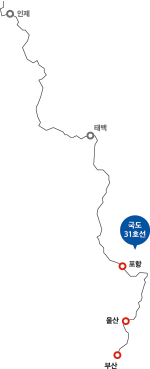 포항 부산 국도 31호선 인제 태백 울산