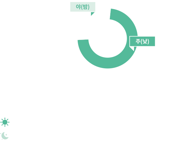 주·야사고건수 야(밤)186 주(낮)439 *주·야 : 주간은 일출부터 일몰까지의 시간, 야간은 일몰부터 일출까지의 시간을 의미함